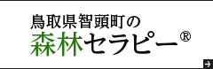 森林セラピー